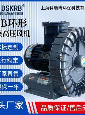 RB-033环形旋涡高压风机 2.2KW粉尘化工防爆隔爆CT4鼓风机