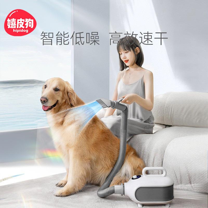 价宠物吹水机中大型犬狗狗大功率吹风机狗狗金毛猫咪吹毛烘干