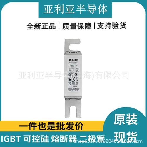 170M1315 170M1314 高压熔断器 交流熔断器 保险丝 原厂原盒