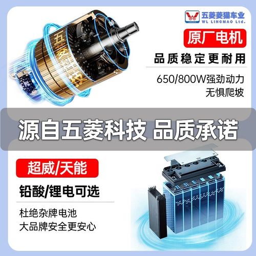 五菱菱猫新款老年人接送孩子代步车四轮电动车老人电动代步车双人