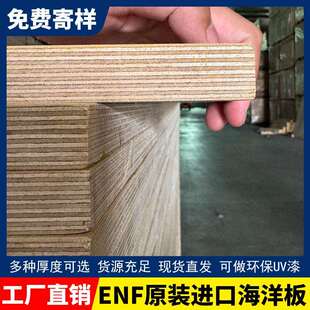 全桦木海洋板进口直发一手现货整板胶合木板环保防潮多种规格