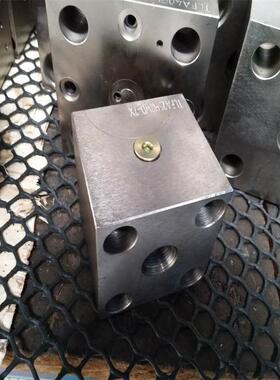 山东泰丰液压TAIFENG供应TLFA025DBU型盖板厂家直销