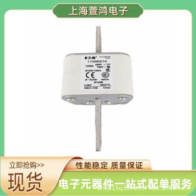 170M7244 170M7245 170M7246 170M7247原厂 压熔断器熔断器熔芯