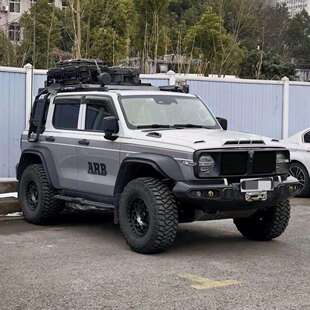 坦克300铁骑中网枫林铁骑02中网战神中网极案中网至案中网改装件