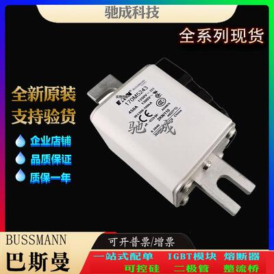 巴斯曼170M5248 170M5249 170M5250 现货直销销售价优 高速熔断器