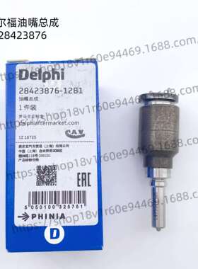 德尔福原厂28423876 L499PBK油嘴套件配BEBJ1F08001/BEBE1R14001