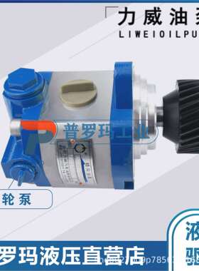 合肥力威液压泵3407020-551-JH2E汽车动力泵 转向泵QC12/10-4DF3B