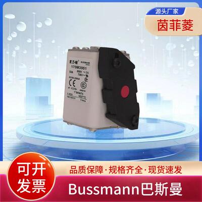 巴斯曼170M3926 170M3927 170M3928 170M3929 170M3930 170M3931