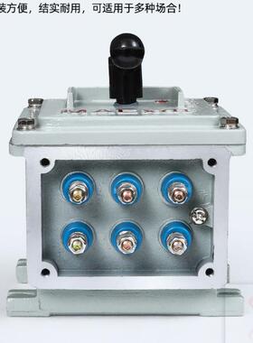 防爆倒顺停开关BQXN-10A BQXN-60A100A30A可逆开关防爆正反转开关