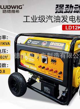 LD12K3D 工业级汽油发电机组220V/380V小型家用户外摆摊露营电源