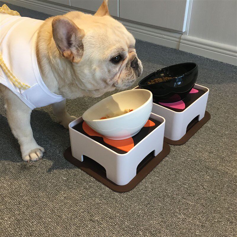 法国斗牛犬防滑陶瓷碗 英斗巴哥泰迪狗碗 食盆水盆Y宠物餐桌用品