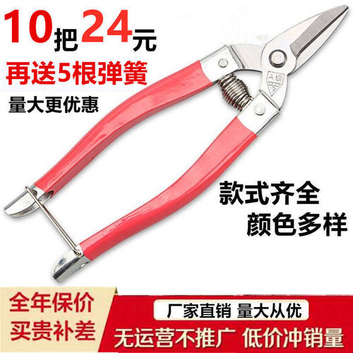 A级罗定不锈钢剪刀果花剪沙w糖桔摘果剪柑桔剪修枝剪水果采摘剪刀