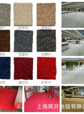 凯辉地毯割绒地毯卧室地毯客厅会议室酒店邮轮超软满铺地毯 GF GC