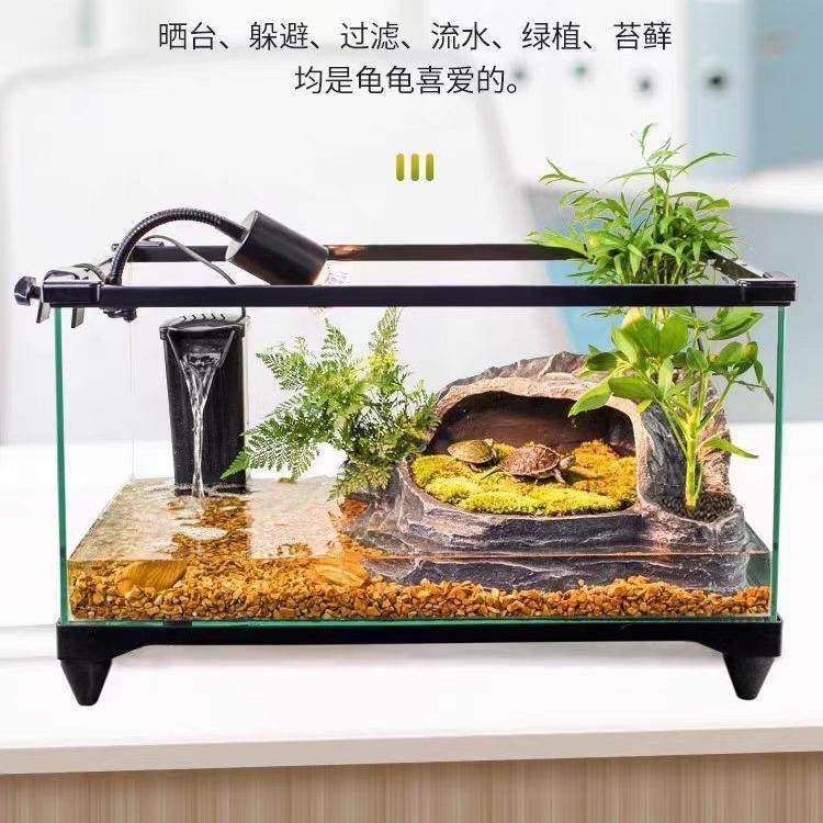 乌龟缸半水缸晒台造景玻璃生态造景费用仅人工费不能拍不含其他,宠物/宠物食品及用品,造景/装饰,淘宝优惠券,粉丝福利购,淘宝优惠卷