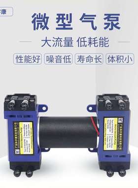 KYK1230SPM双头泵微型泵负压隔膜泵直流气泵增压泵3v真空泵抽气泵