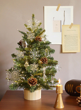 圣诞节新款桌面发光ins绿色小型圣诞树摆件礼物diy迷你圣诞树装饰