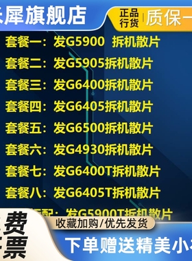 G5900T G5900 G6400 G6405 4930 G5K905 G6400T CPU 散片