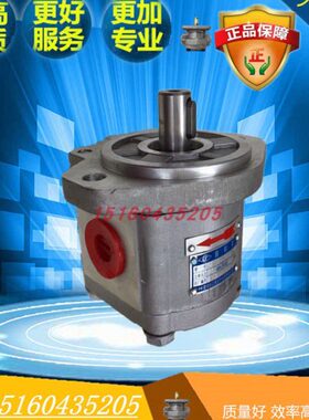 江C 10100- 120长F10 10B116 4 6B25108R0  齿轮泵010/10K1 2010L