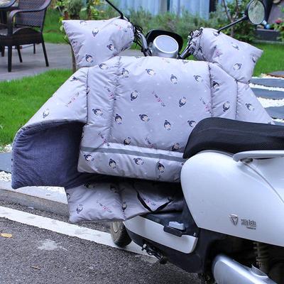 挡风被车冬款布防水加大加厚电动车防风被冬季侧护特大加长女