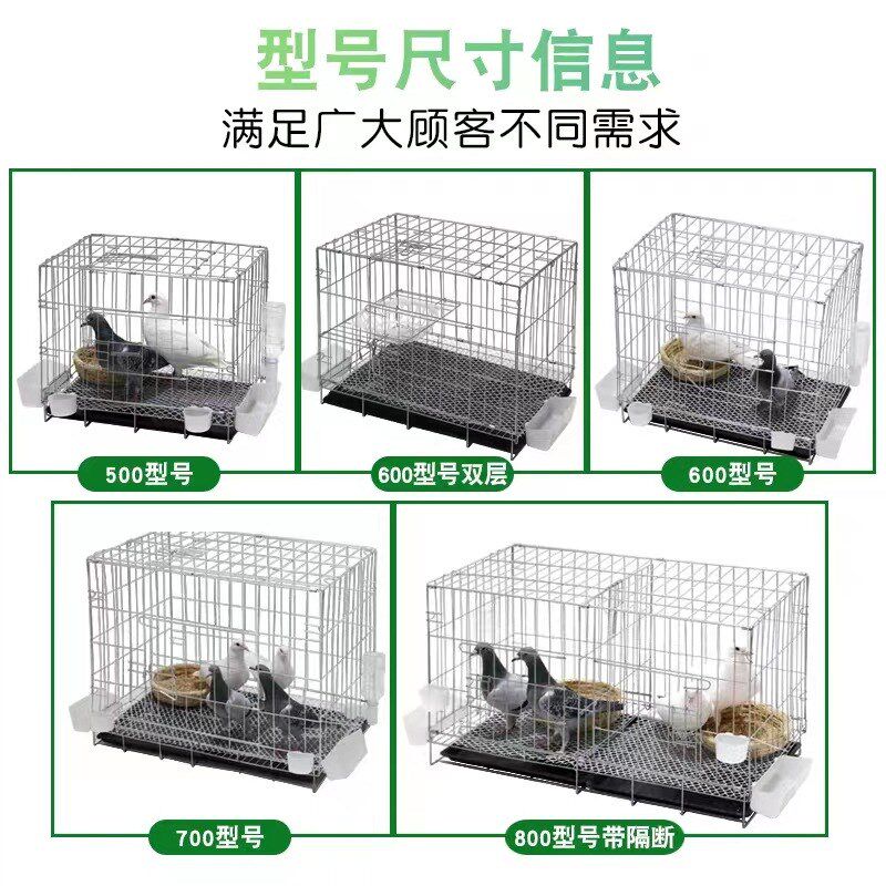 鸽子笼家用养殖笼鸽子配对笼大号鸽子笼家用带隔断繁殖养殖鸽笼清