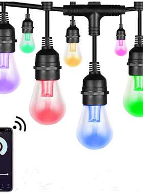 跨境爆款RGB圣诞新款灯串灯泡app手机控制 12bulbs