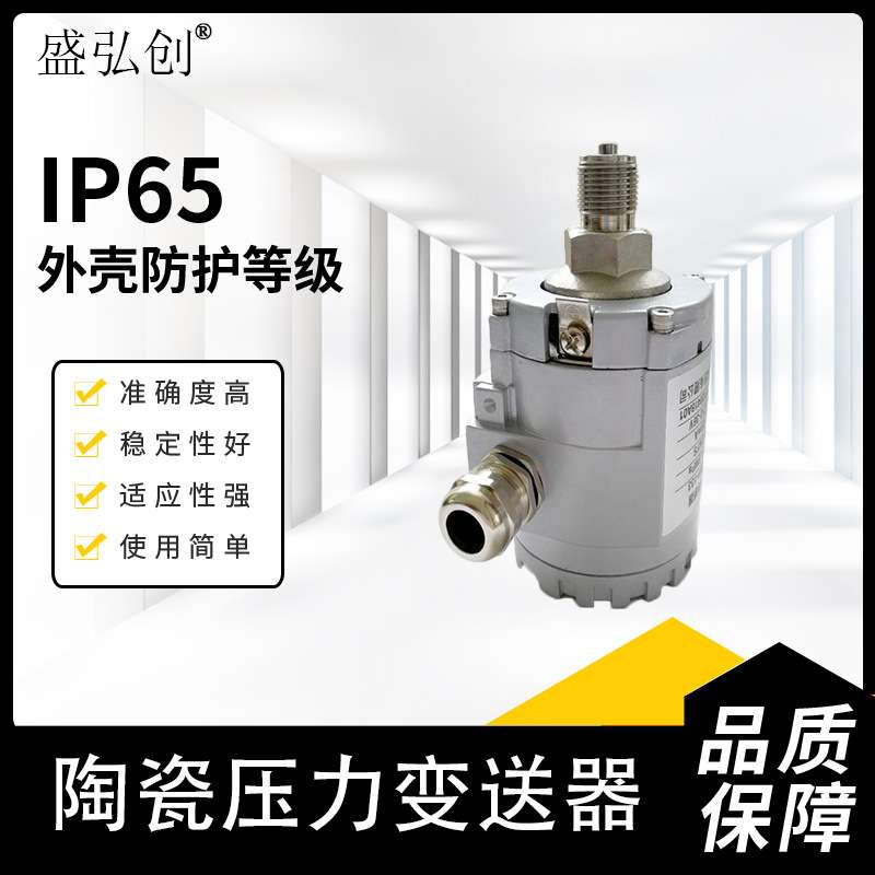 BL-Y203陶瓷电容压力变送器 小巧型压力传感器 E+H外观液位变送器