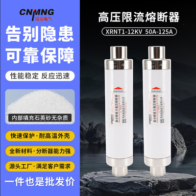 高分断能力高压限流熔断器XRNT陶瓷熔断器XRNT1-12KV/50A-125A