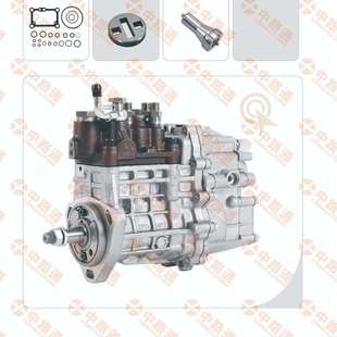 12F1300R558 VE4 型号NJ 燃油泵总成