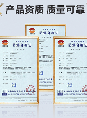 磁翻板远传d变送器磁性浮球液位计捆绑式4-20mA干簧管传感器RS485
