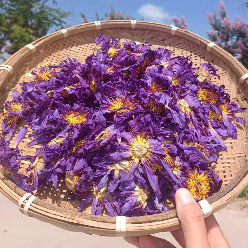 2021新烤纯天然蓝莲花花茶睡x莲干花 低温烘烤蓝莲花花茶干花 现