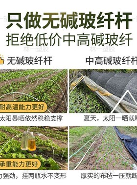 拱棚支架家用农用菜棚花棚保w温实心大小棚架杆条玻璃纤维棒代发