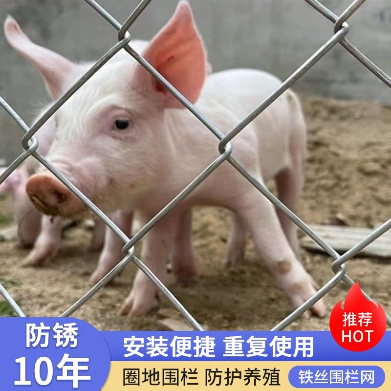 热浸镀锌勾花网围栏经久耐用养殖铁丝网养鸡牛羊Q围栏防护网防锈