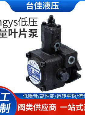厂家直销kingys低压变量叶片泵VP-20系列中压变量叶片泵HVP-40系