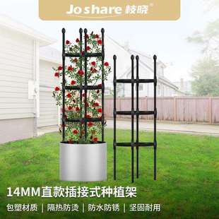 枝晓14mm直款种植架庭院装饰铁线莲支架月季爬藤架花支架跨境