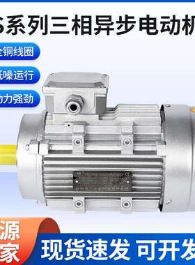 厂家YE4系列三相异步电机 B14 纯铜线圈高能效电机 2/4/6/8极