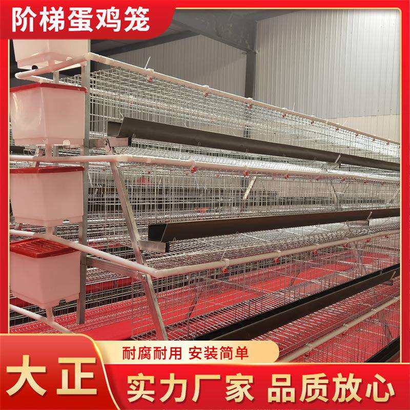 阶梯蛋鸡笼全自动 养殖场蛋鸡笼子 热镀锌鸡笼肉鸡笼 蛋鸡养殖笼