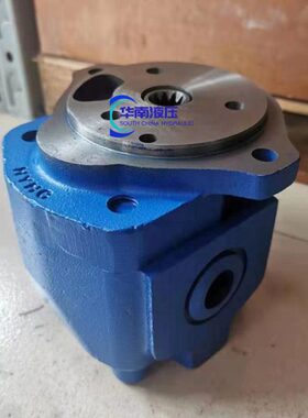0D3维修配件 先导泵齿轮泵泵AP2 6洋岛川油泵8石尾马75
