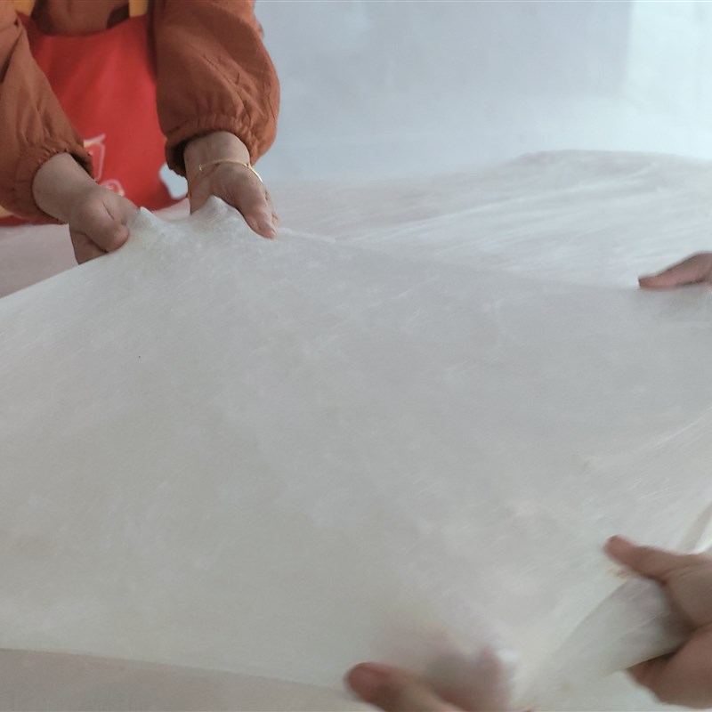桐乡正宗纯手工蚕丝被100桑蚕丝空调被结婚被优等品Y蚕丝净重1斤