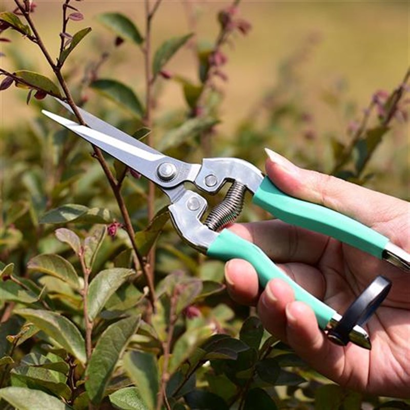 名钻修枝剪 摘果剪  园艺用品工具 铝合金套胶手柄园艺剪刀