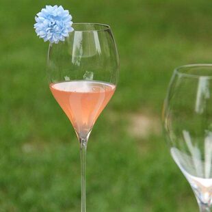 香槟杯杯高香槟葡萄酒创意玩气泡酒质品小容量高脚鸡尾酒杯酒创匠