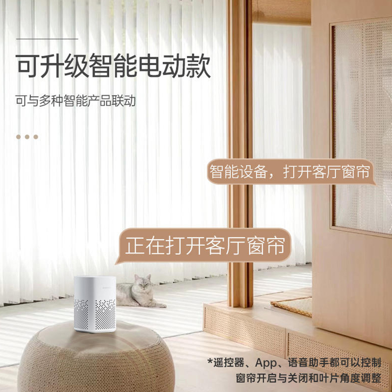 电动梦幻帘2023年新款居家客z厅阳台简约智能竖百叶窗帘遮光垂直