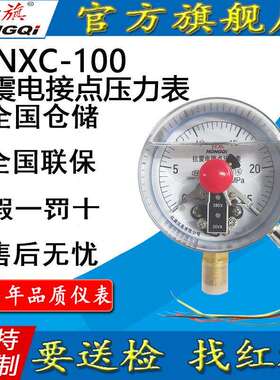 红旗牌仪表YTNXC-100抗耐震磁助式电接点压力表径向触点电压30VA