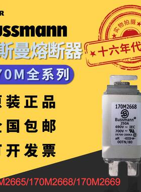 170M2668伊顿巴斯曼熔断器690VAC250A200KA分断力全范围GR熔断器