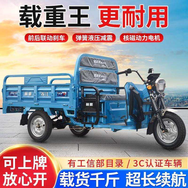 电动三轮车拉货小型家用大功率送货摆摊快递农用老年人电瓶三轮车