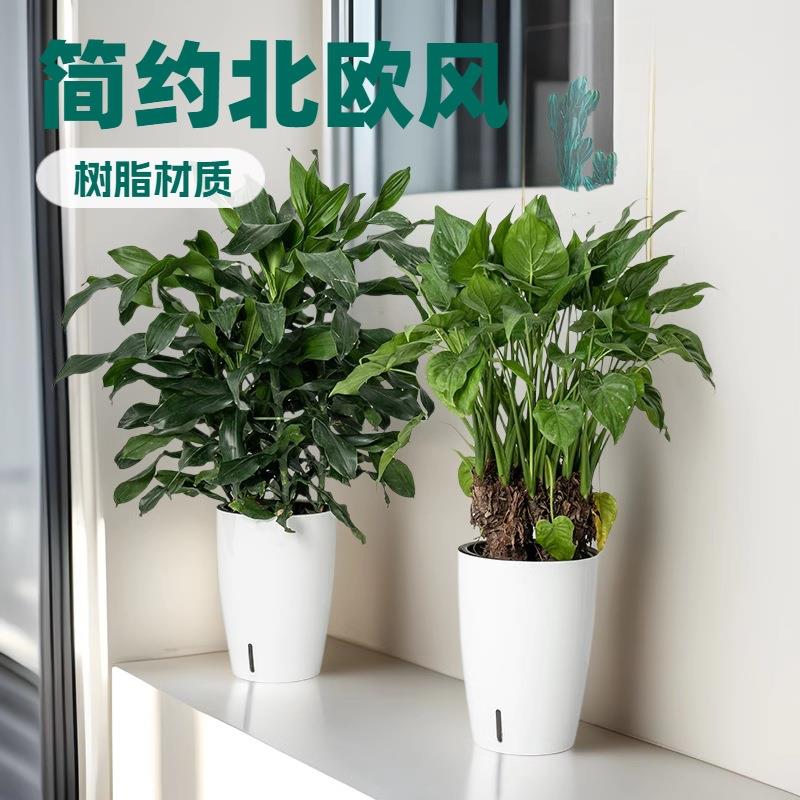 懒人自动吸水塑料盆景花盆圆形简约北欧风格树脂落地大花盆特大号