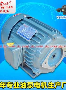 1.5KW2.2KW大兰DALAN液压VP20油泵专用电机组 DL-802-4-0.75KW