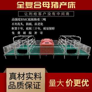 单双体母猪产床产保一体两用保育床猪场养殖设备复合板加厚漏粪板
