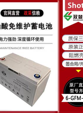 双登蓄电池6-GFM-100/12V6H/120AH/150AH/200AH直流屏EPS蓄电池