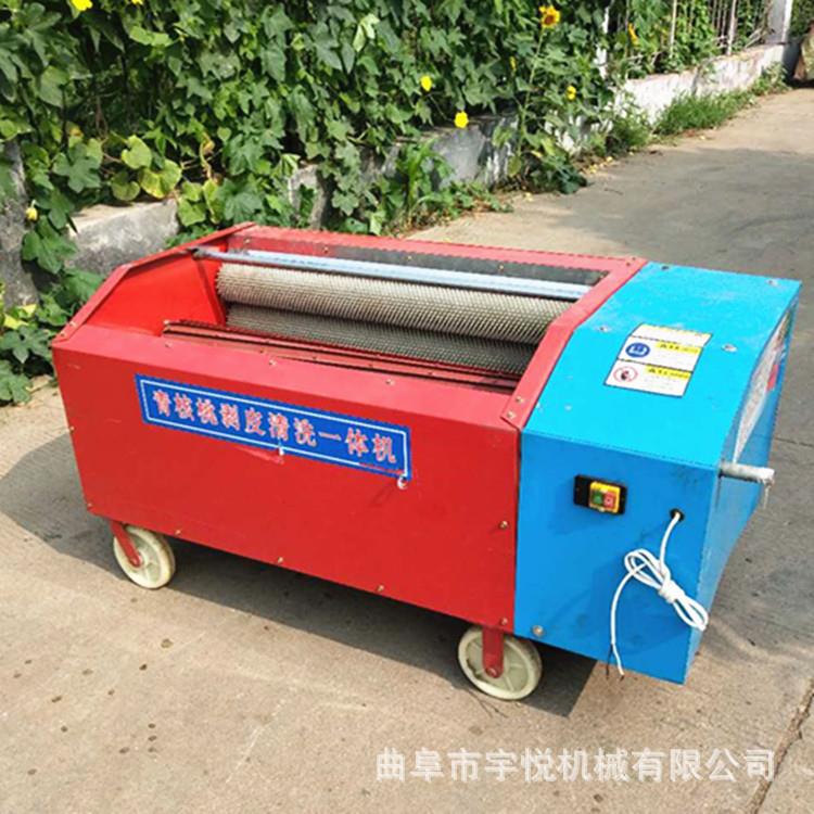 青核桃去皮清洗一体机 小型鲜核桃脱壳机 家用核桃扒皮机