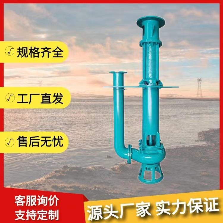 立式泥浆泵打桩机泵打井勘探清淤抽沙250QV-SP液下渣浆泵